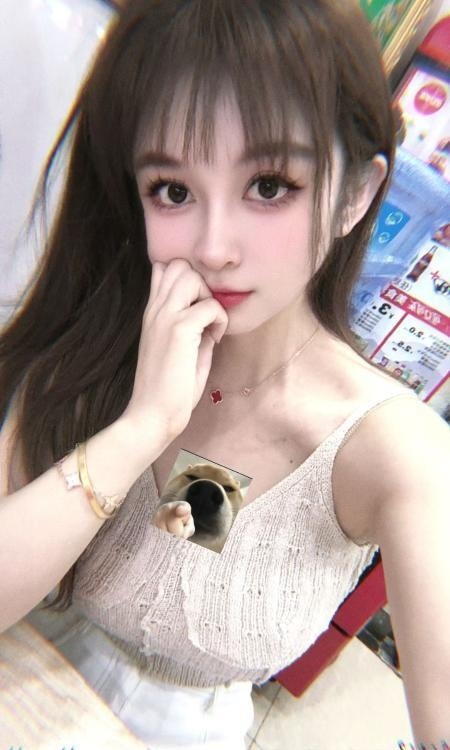 精彩照片