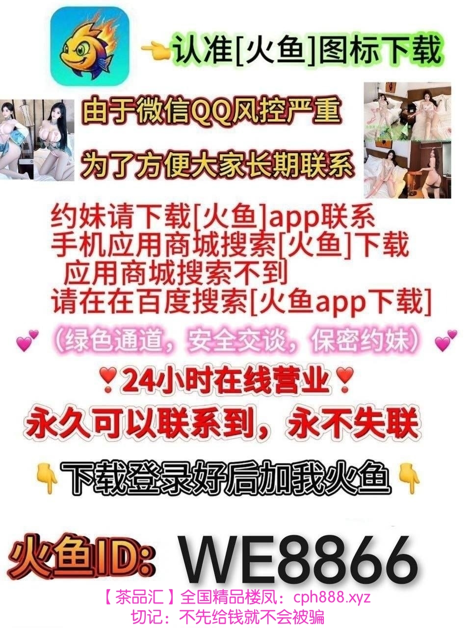 精彩照片