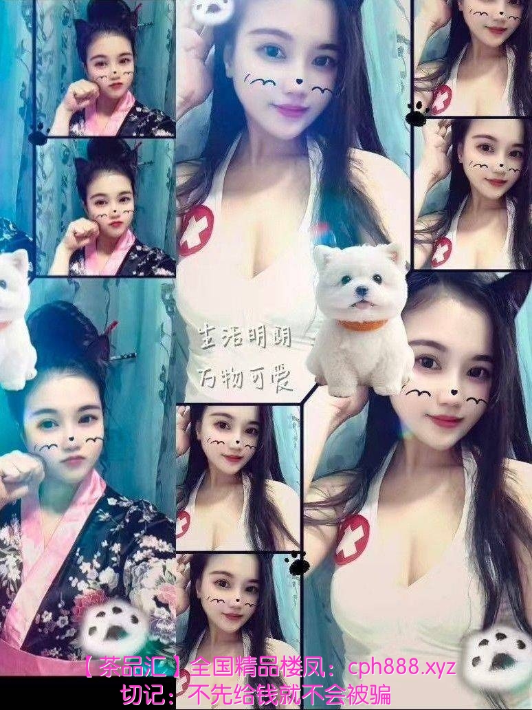 精彩照片