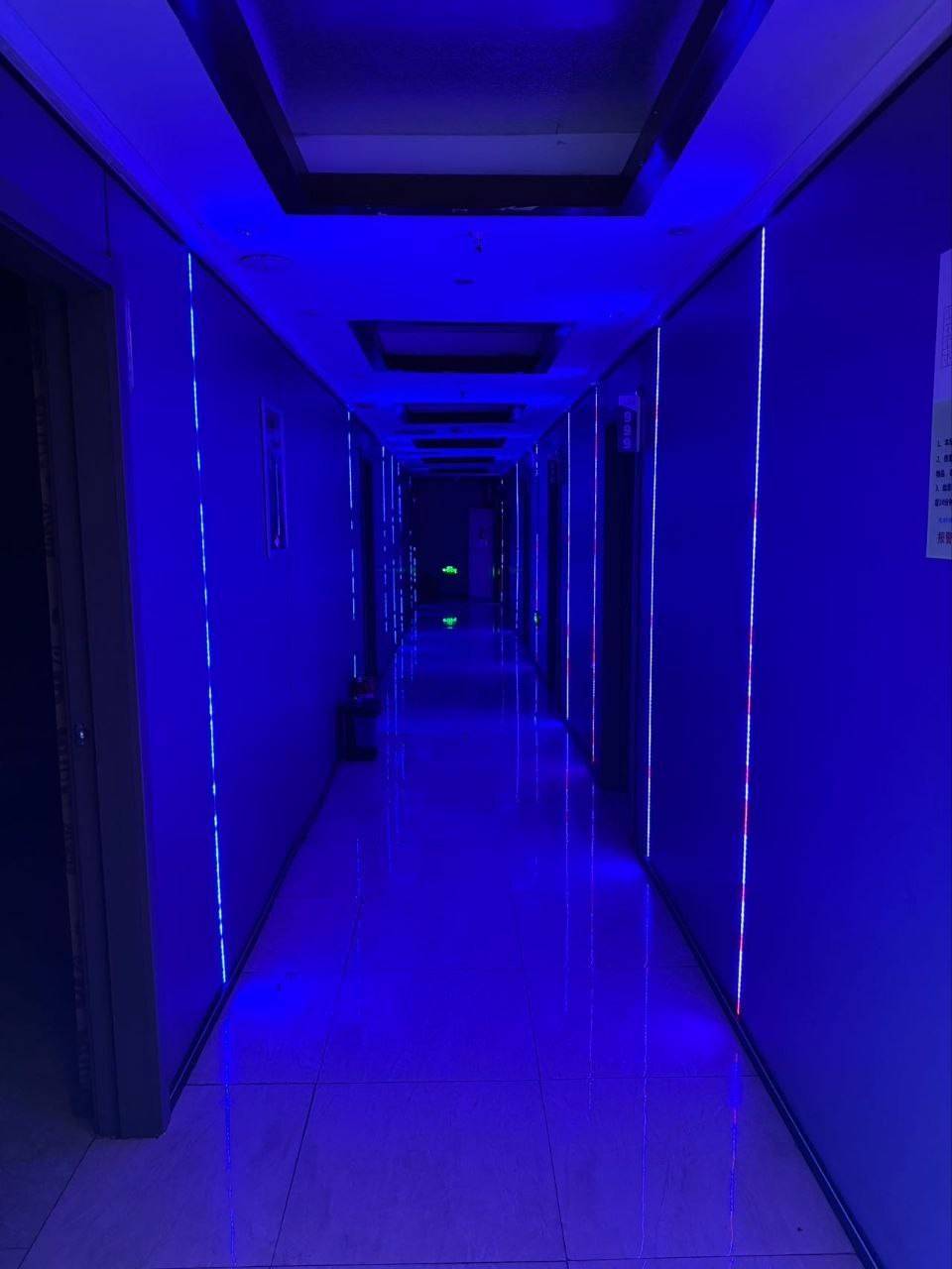 精彩照片