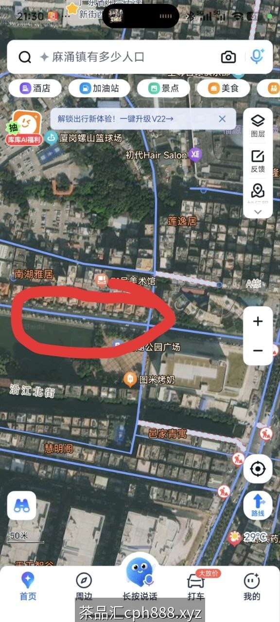 精彩照片